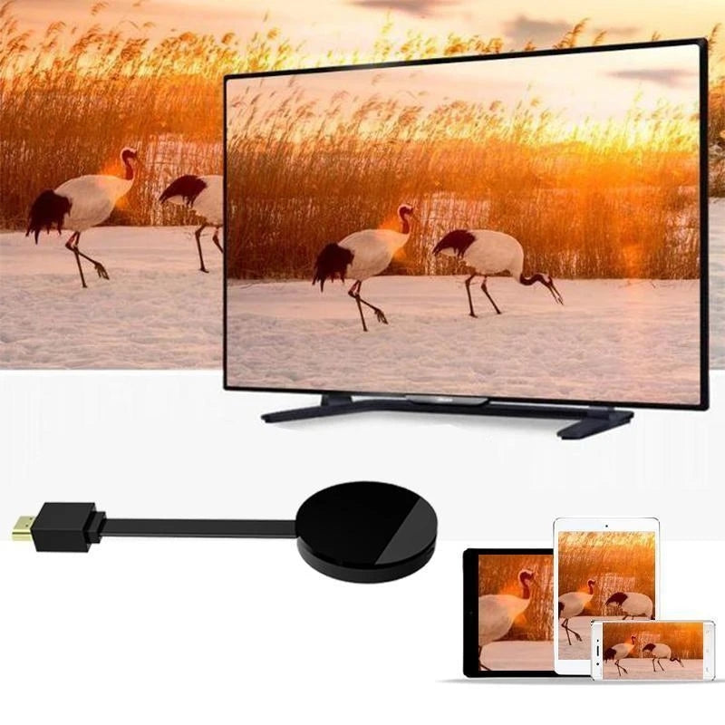 Tragbarer drahtloser HDMI-Empfänger