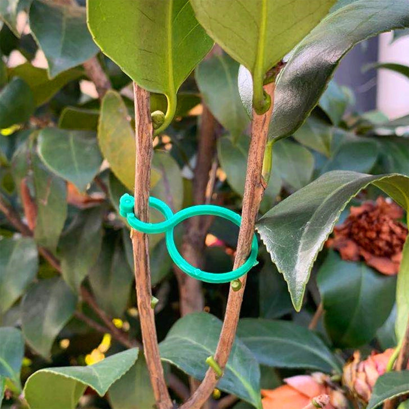 Garten Pflanzen Halter (50 STÜCKE)