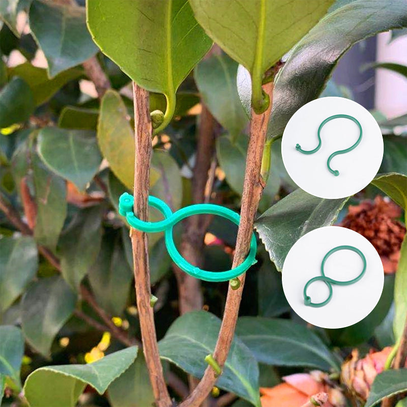 Garten Pflanzen Halter (50 STÜCKE)