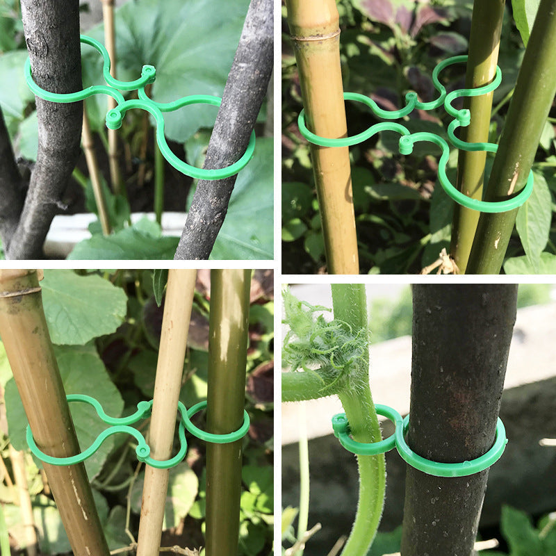 Garten Pflanzen Halter (50 STÜCKE)