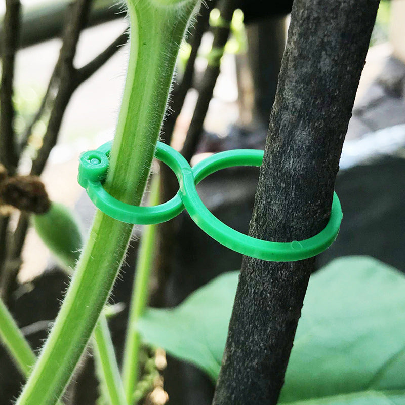 Garten Pflanzen Halter (50 STÜCKE)