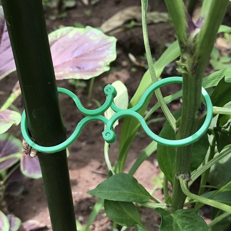 Garten Pflanzen Halter (50 STÜCKE)